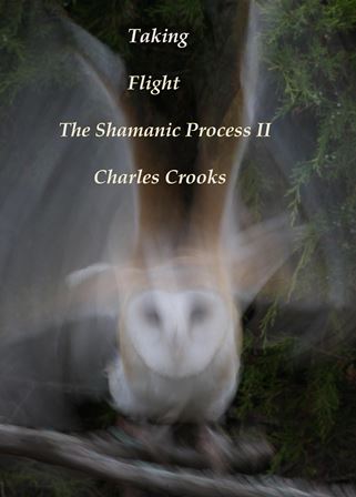 Cover, The Shamanic Process II